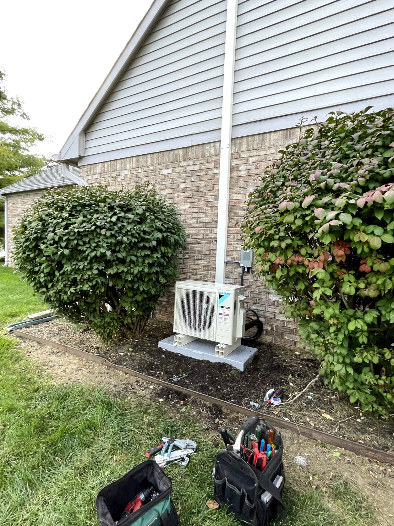 New Daikin mini-split outdoor heat pump nestled between shrubs at a Plainfield, IN home