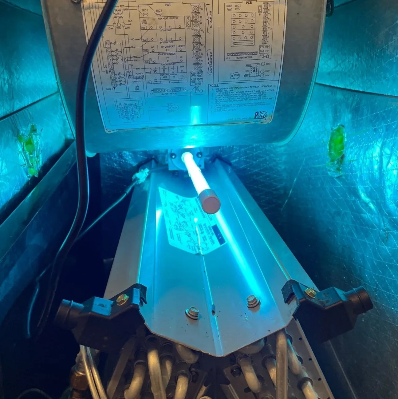 UV-C air purification light glowing inside a sealed air handler plenum installed by Polley's Perfect Seasons in Plainfield, IN
